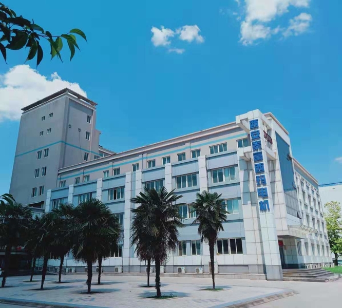 China Xi'an Simo Motor Co., Ltd. Perfil de la compañía